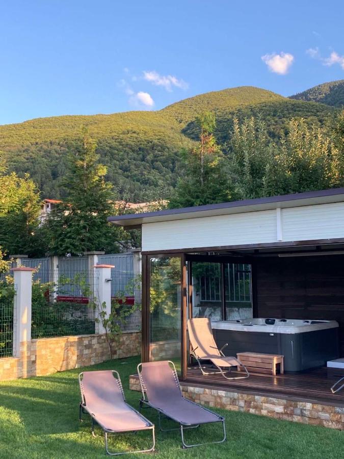 Villa Detelina Sapareva Banya Εξωτερικό φωτογραφία